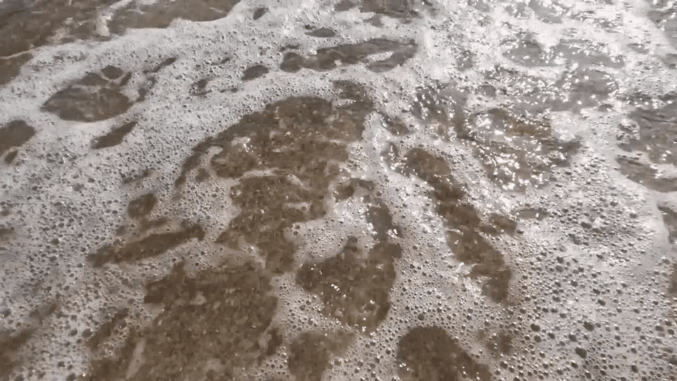 Michigan health officials urge residents to avoid contact with foam on surface waters