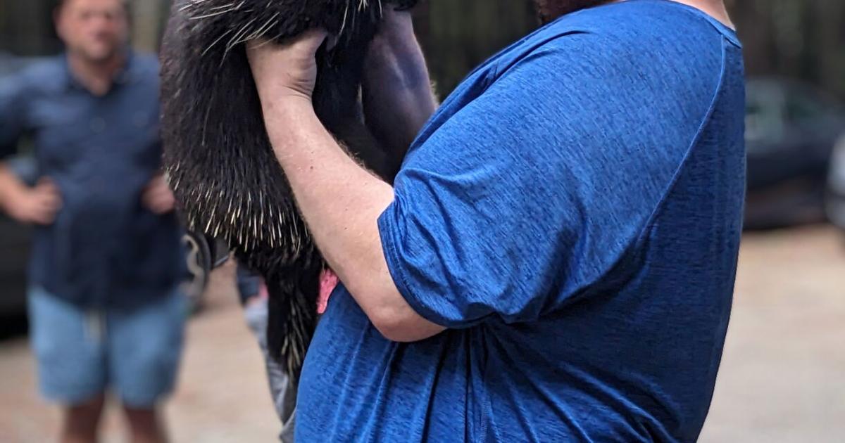 Jesup hosts wildlife rehabilitation talk – Mount Desert Islander