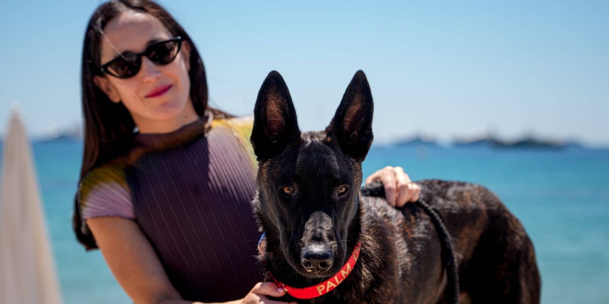 A round of a-paws for ‘La Perra,’ winner of the Palm Dog award at Cannes